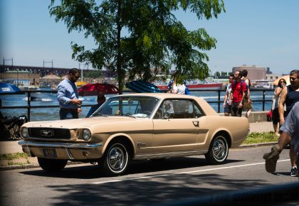 Astoria Park Alliance Car Show, Mustang