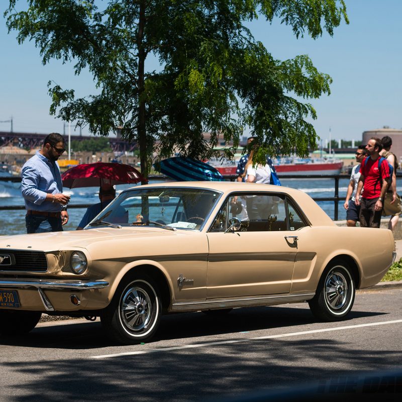 Astoria Park Alliance Car Show, Mustang