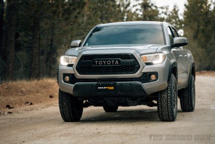 All Surfaces, All Traction, Patagonia A/T W