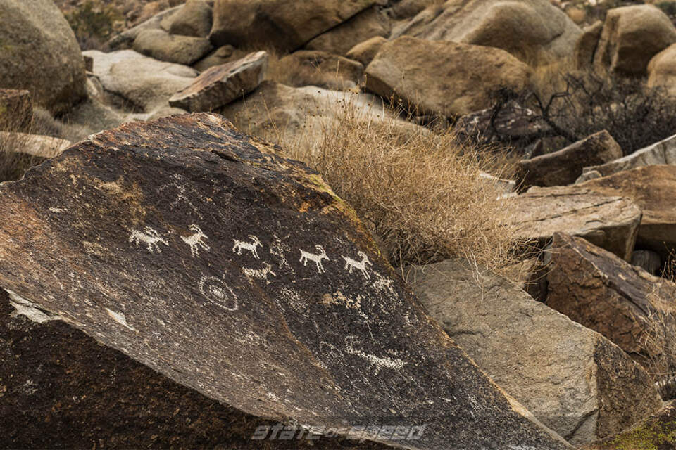 arizona petroglyphs
